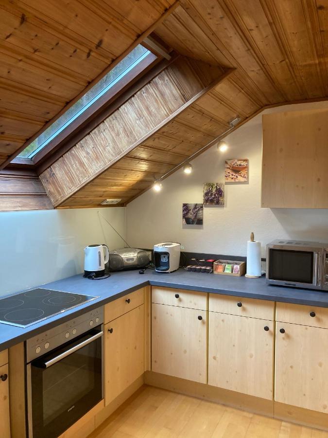 Apartment Stadler Obertraun Buitenkant foto